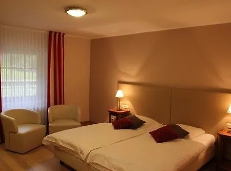 Hotel Au Vieux Moulin 4*