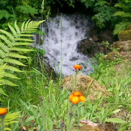 Hotel Au Vieux Moulin